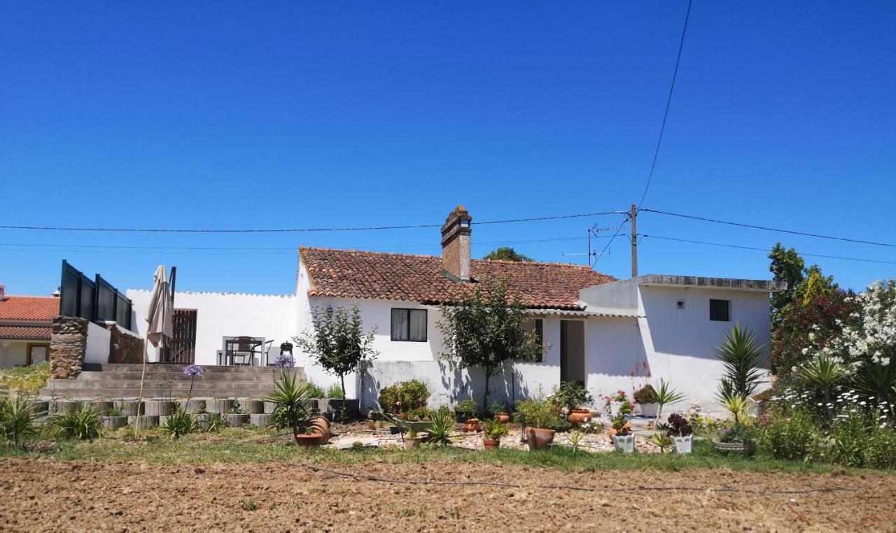 Гостевой дом Casa Da Quinta Sao Pedro de Tomar Экстерьер фото